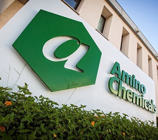 Amino Chemicals
